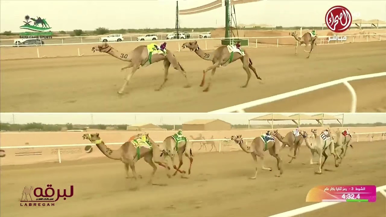 ش3 اجتياز لـ ساير محمد عبدالرحمن العتيبي (مهرجان ولي العهد 10-09-2025م) كأس الثنايا بكار عام 9:23:42