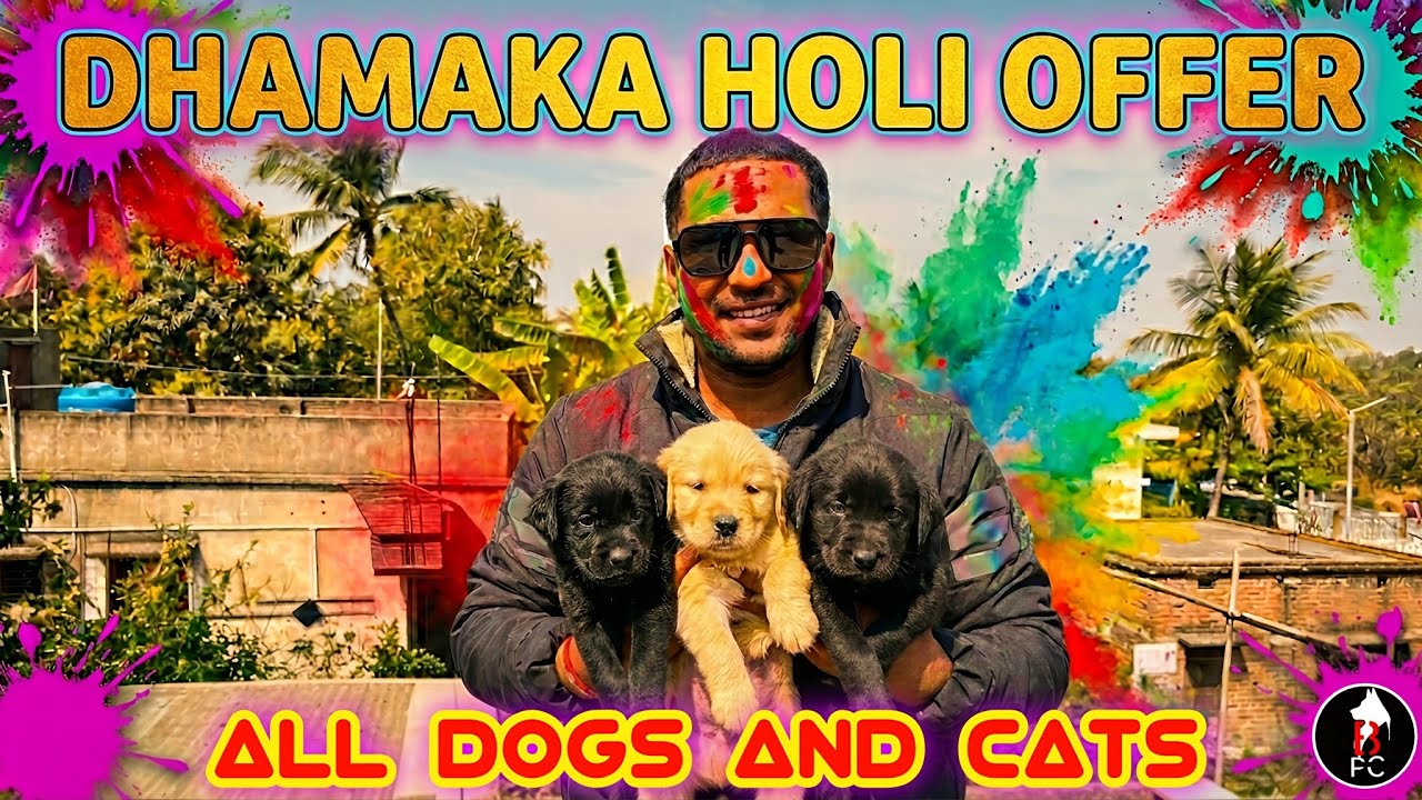 Holi Te Thakche  DHAMAKA 💥⚡ OFFER 🔥 #holi #puppy #discount #offer 