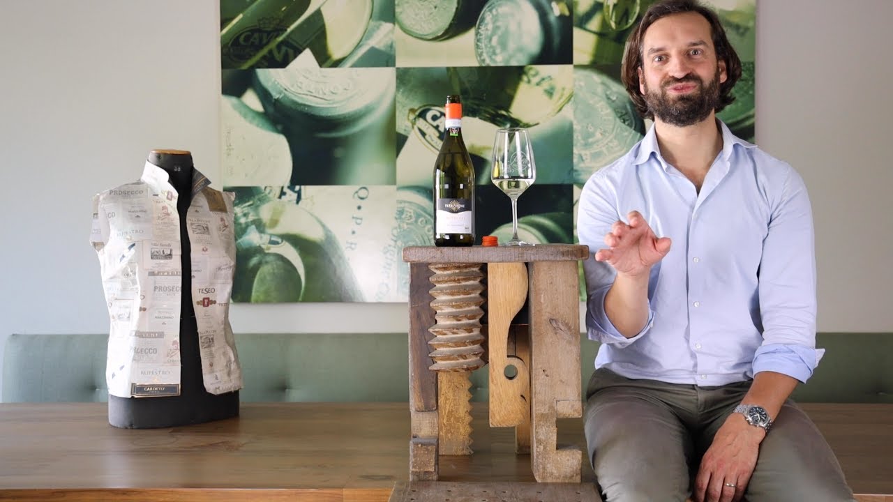 Wein erkl&auml;rt: BIO-Prosecco Frizzante Treviso DOC TerrAmore