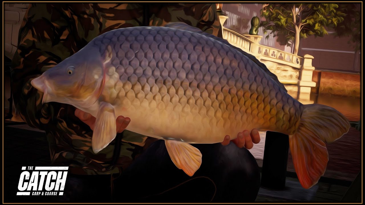Hunting River Monsters In Rotterdam - The Catch Carp & Coarse