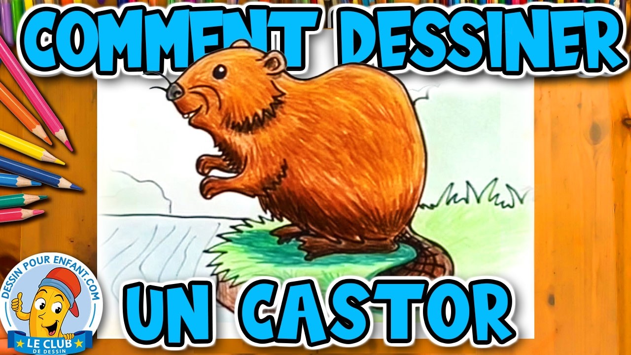 Comment Dessiner un CASTOR