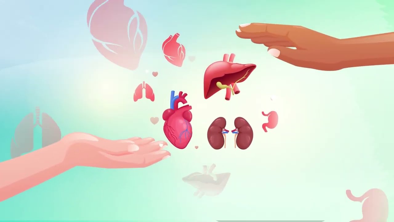 التبرع بالأعضاء.. كيف يتم؟ ولماذا؟
