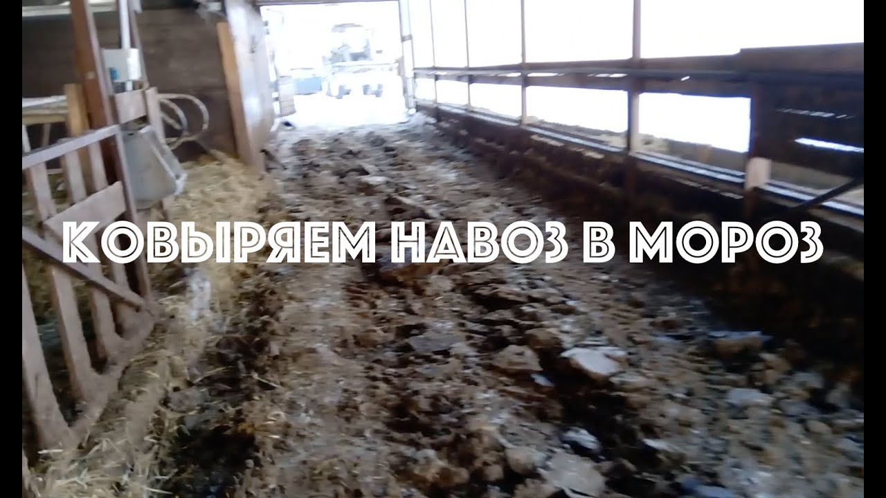 Ковыряем навоз в мороз