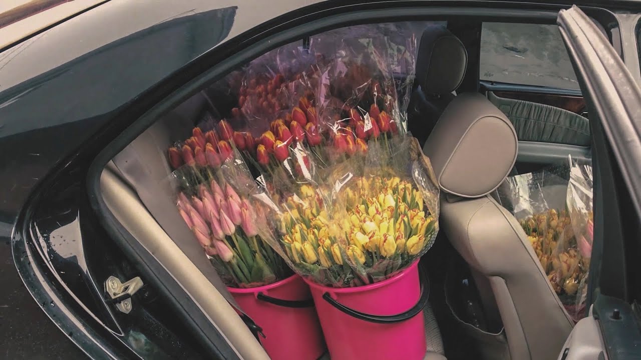 Тюльпаны | Крутая тема к 8 марта | Личный опыт в +