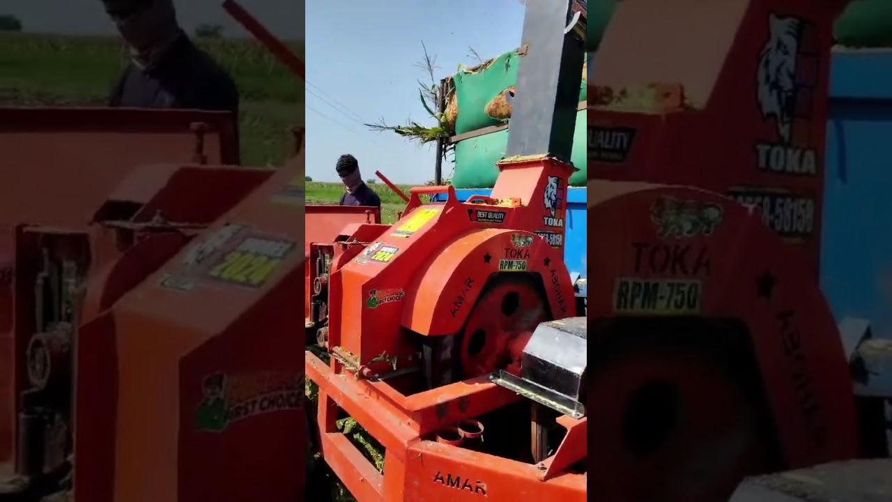 Amar Toka Abohar 9855858158