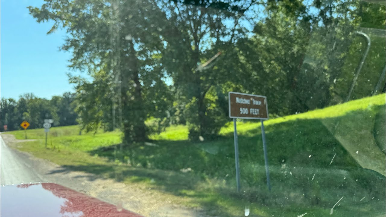 Mississippi and back, Natchez Trace ll More idiotic ramblings #021