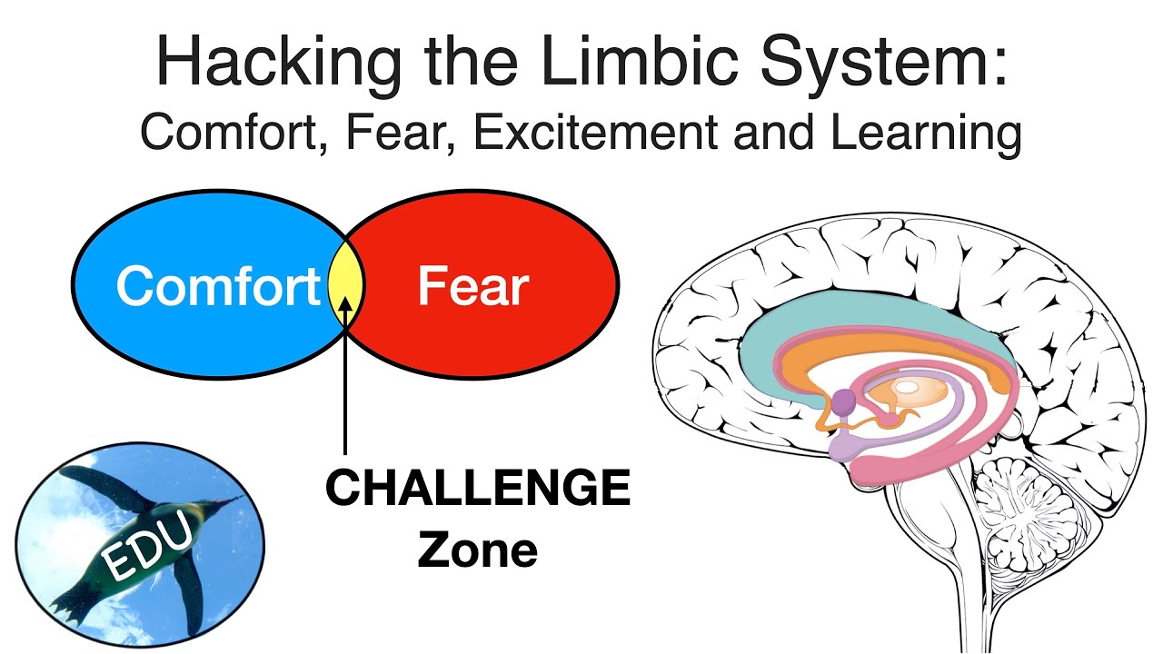 Hacking the Limbic System:  Comfort, Fear, Excitement and Learning