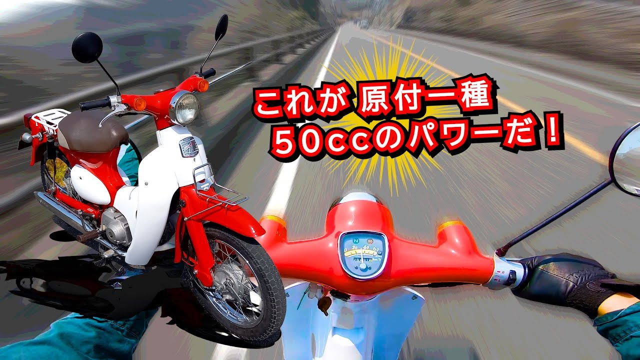 【極上の鈍足】原付一種 50cc ホンダ リトルカブ ｜試乗テスト走行いってみたら平和すぎた～