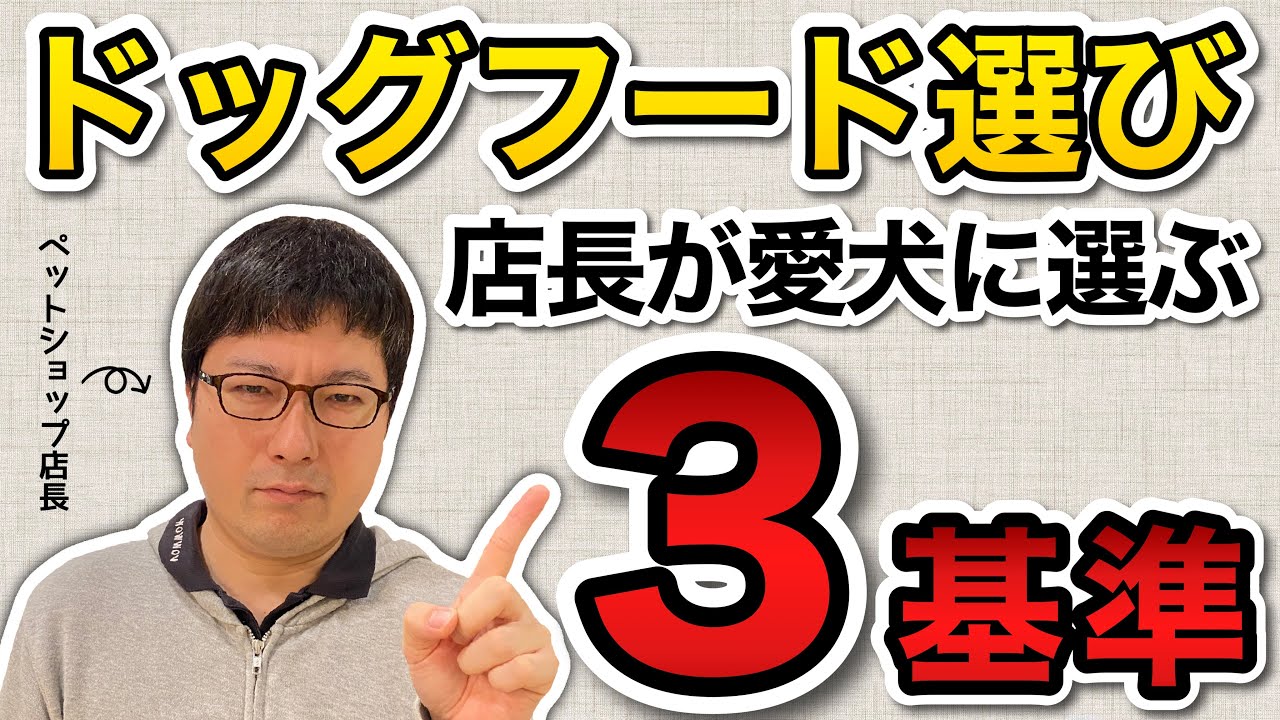 【ドッグフード選びはここが大事！】ペットショップ店長が自分の愛犬に与えたいと思うフード、３つの条件！