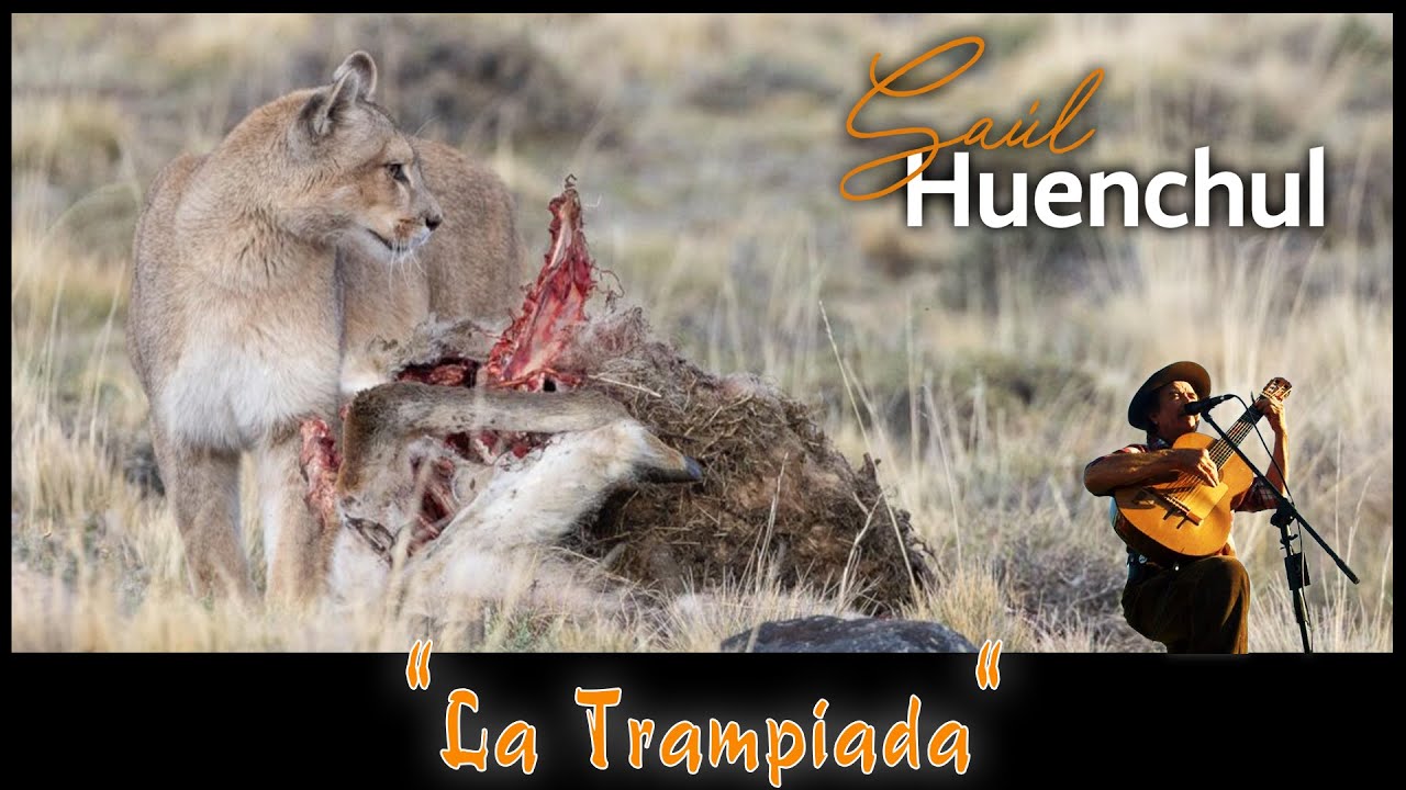 Saul Huenchul - La Trampiada