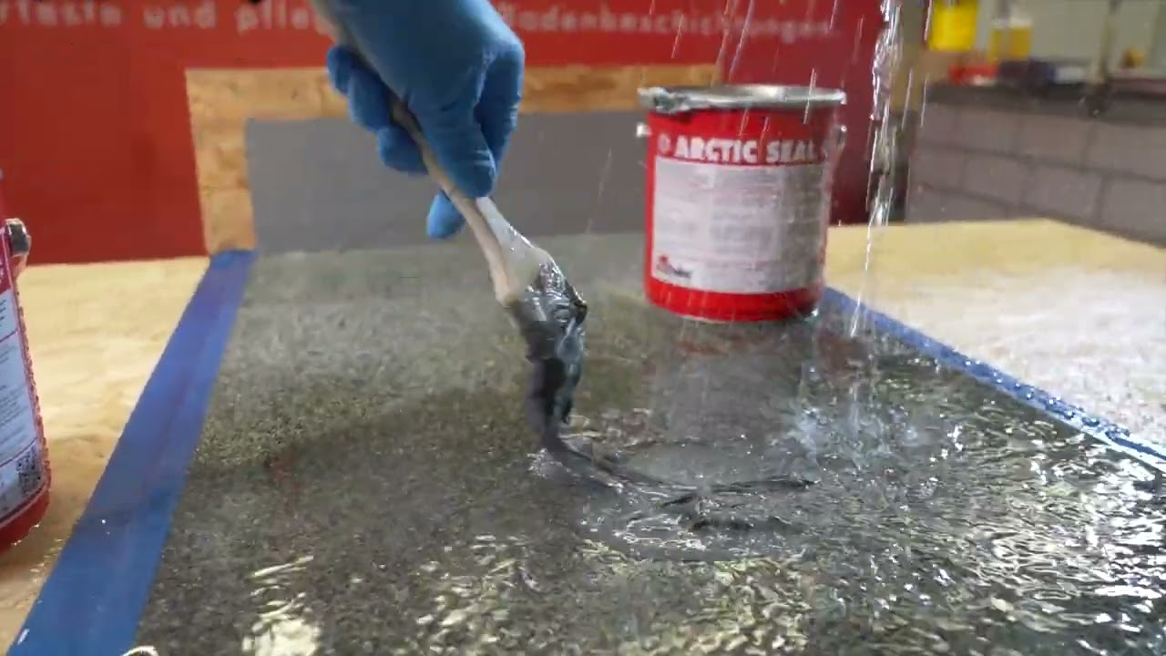 Arctic Seal Video
