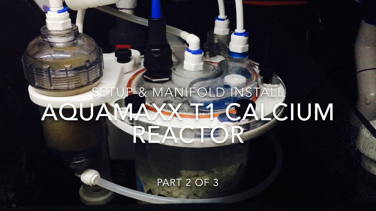 Aquamaxx T1 Calcuim Reactor | Setup & Manifold Install