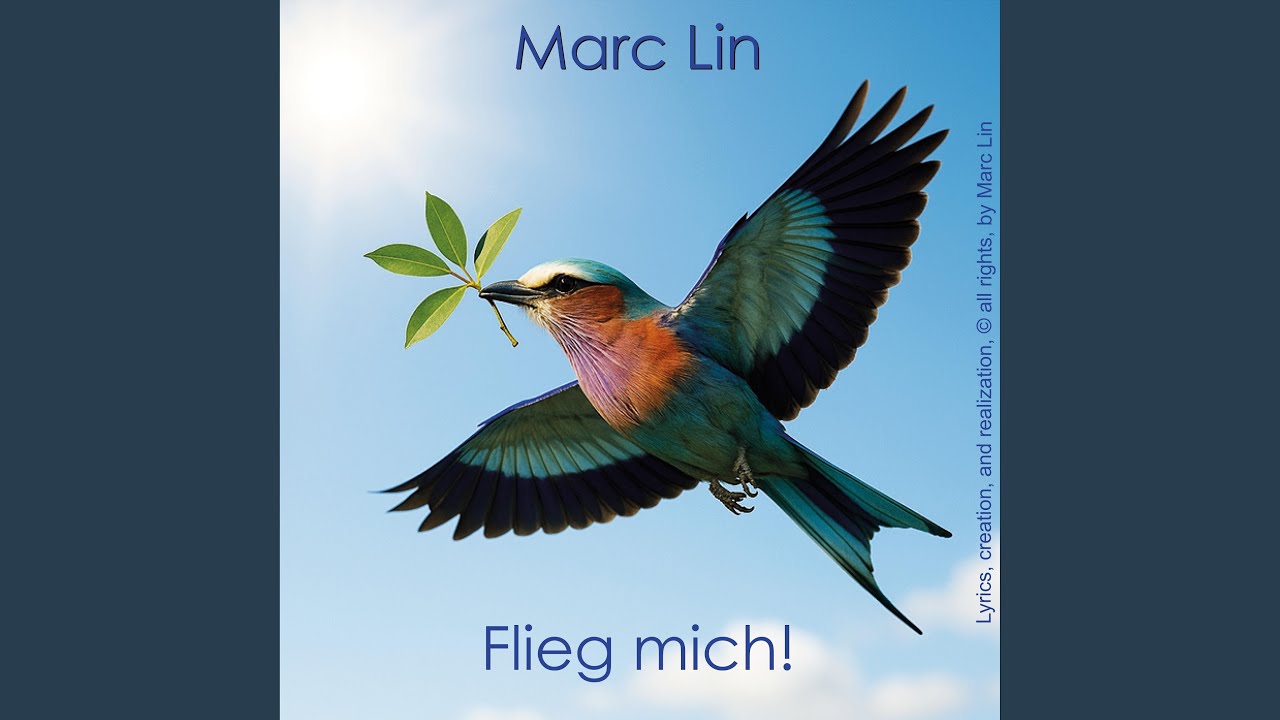 Flieg mich!