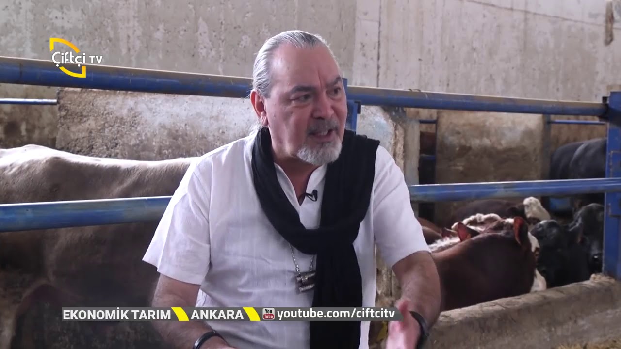 ARTIK MATERYALLERİN YEM OLARAK KULLANILMASI