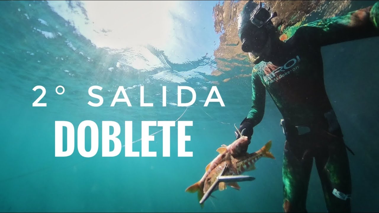SEGUIMOS CON LA RACHA - PESCA SUBMARINA
