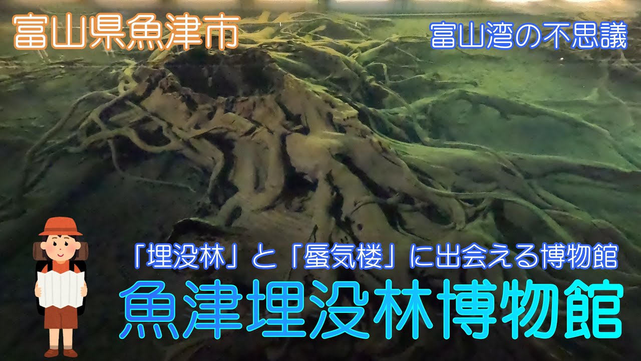 【富山県魚津市】魚津埋没林博物館で埋没林と蜃気楼の勉強をしました【埋没林】