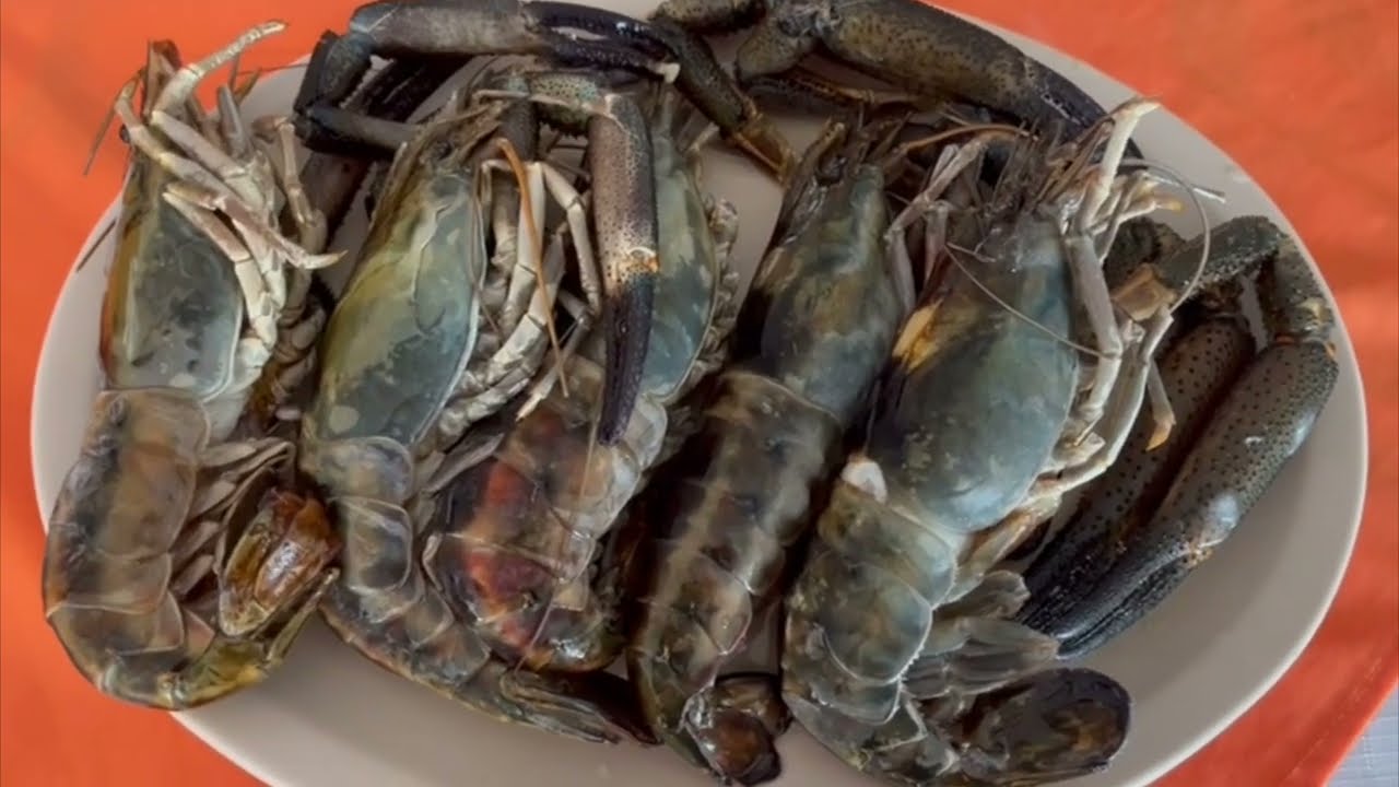 Acamayas al mojo de ajo un platillo típico de Martínez de la Torre