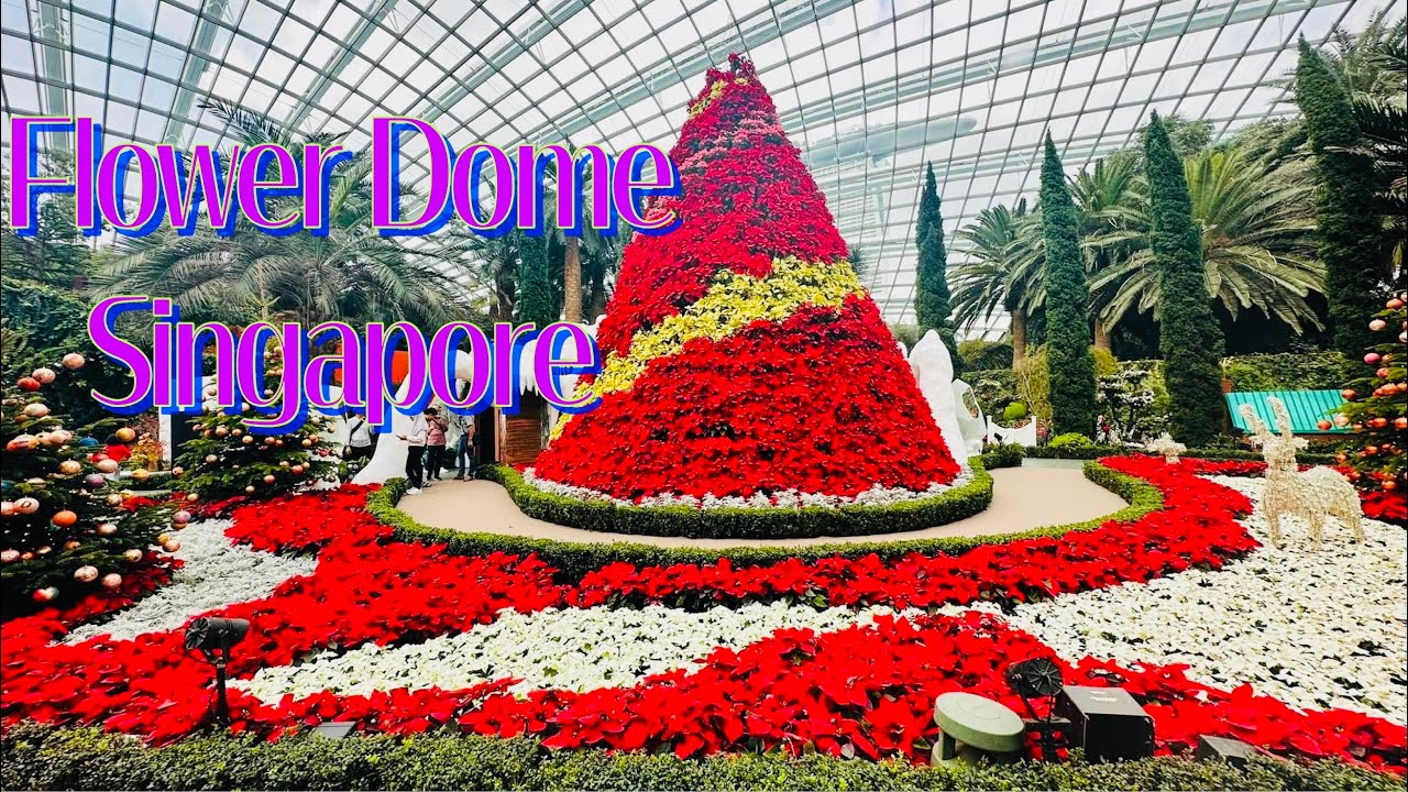 Flower Dome | Singapore | Gardens By The Bay Singapore Tour 2022