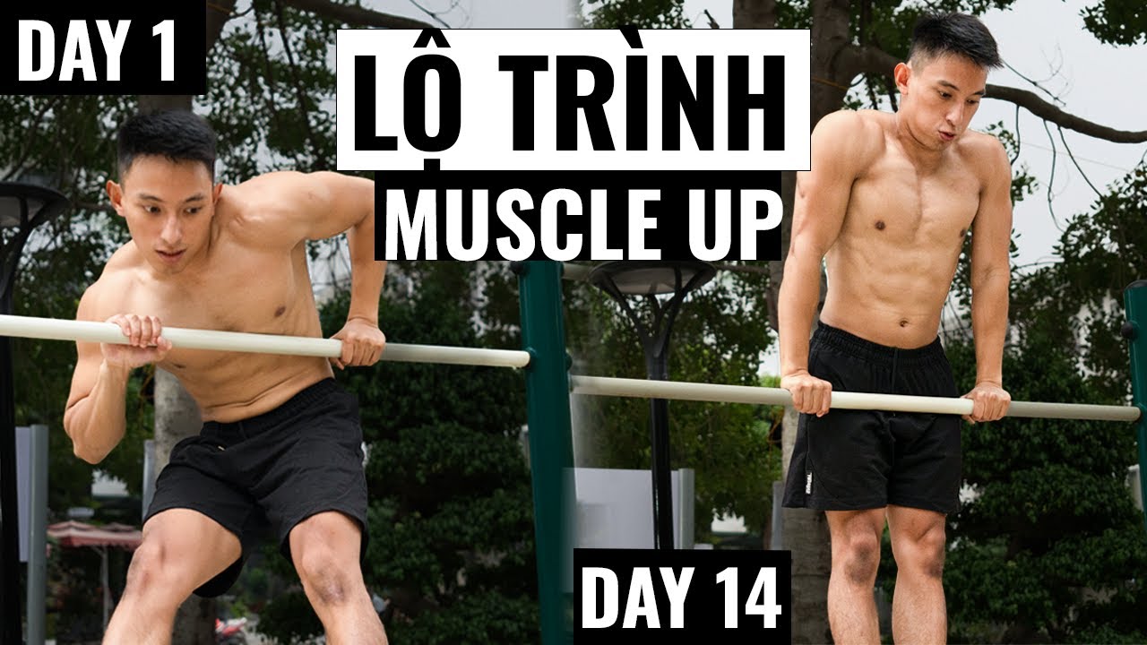Skill Calisthenics cho người mới | Muscle up trong 14 ngày