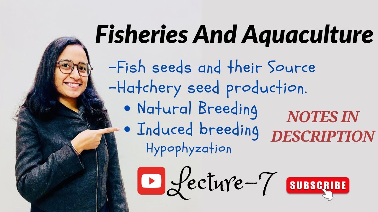 Hatchlings | Fries | Fingerlings | Hatchery seed production | Induced breeding | Hypophysation.