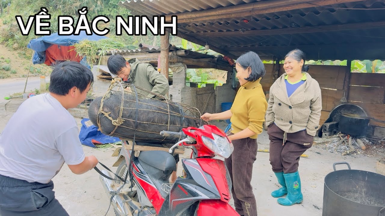Chốt Lợn Đen Lông Dài Cho Khách Bắc Ninh | Cuộc Sống Nông Thôn”