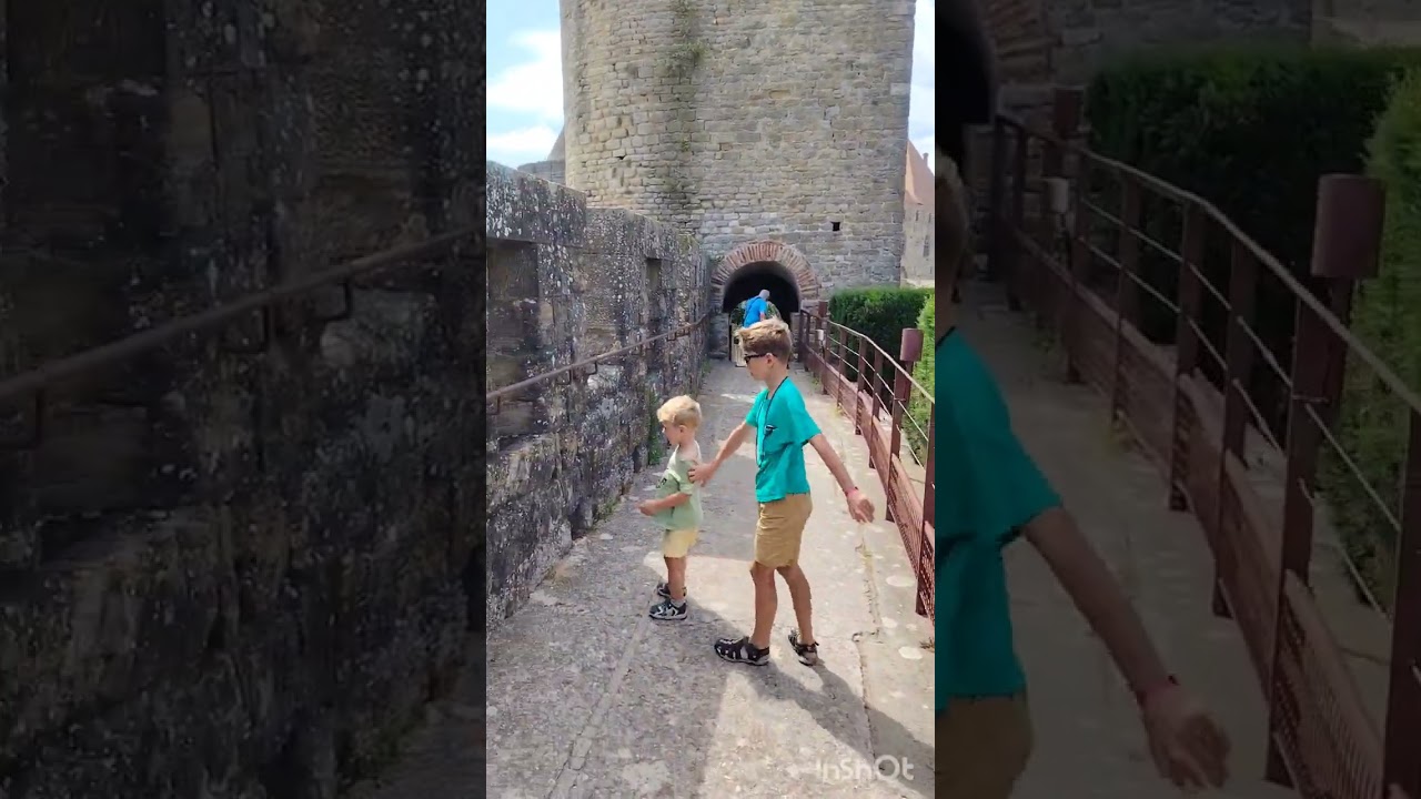 Крепость Каркасон / Cité de Carcassonne