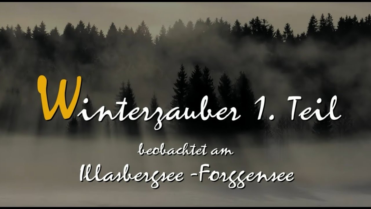Winterzauber 1 Ein Spezialmix