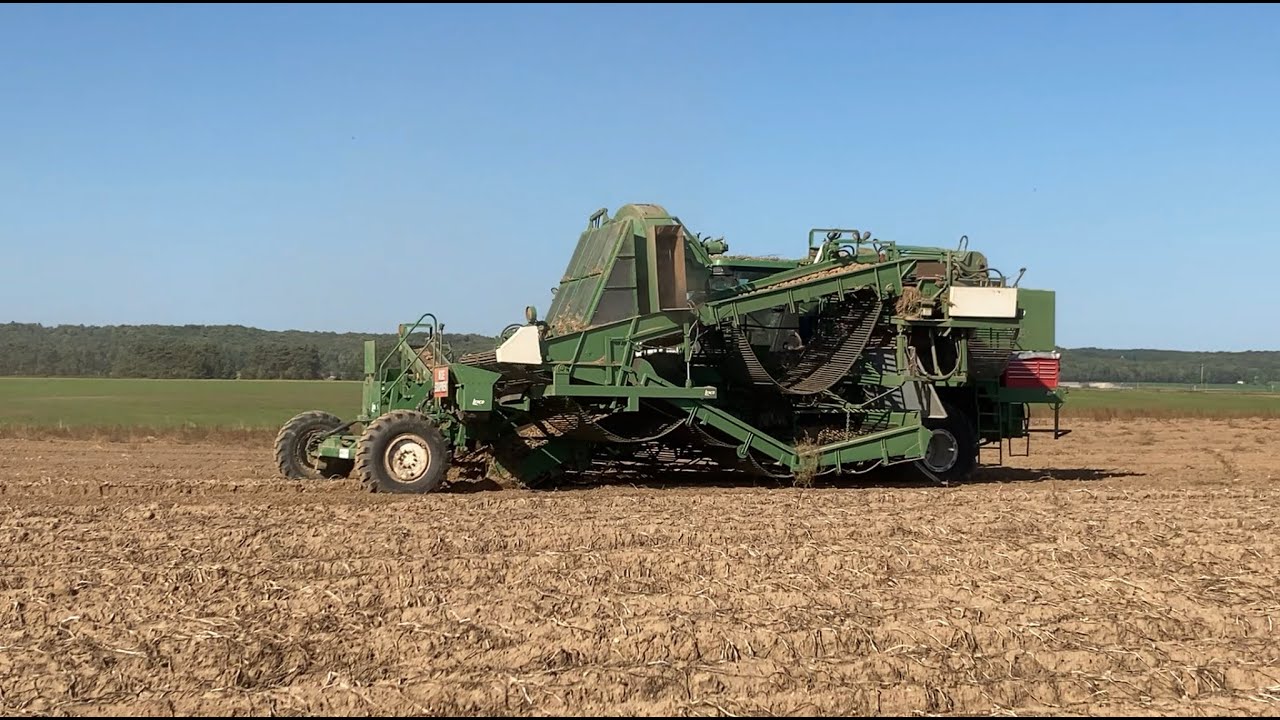 Potato Harvest 2021 - iPhone footage - Hafner Seed Farms