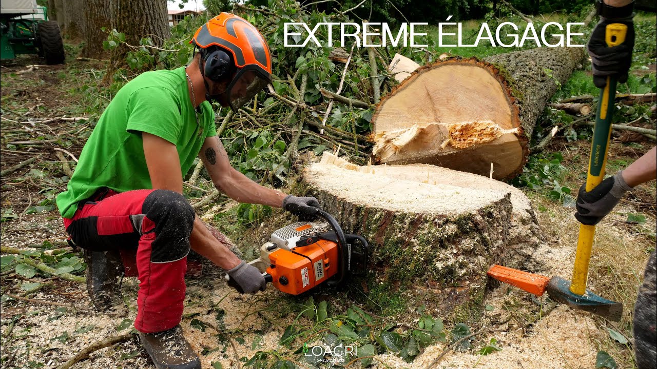⚠😱EXTREME ÉLAGAGE : double NACELLES & une belle équipe au TRAVAIL ! 🌳💪