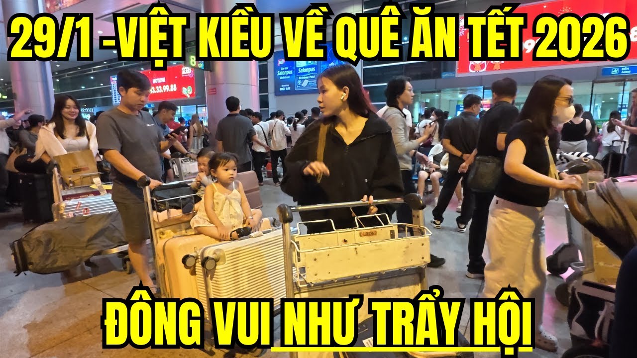 🇻🇳 Việt kiều về quê ăn Tết Nguyên Đán 2026 – khoảnh khắc đoàn tụ khiến ai cũng nghẹn ngào ❤️