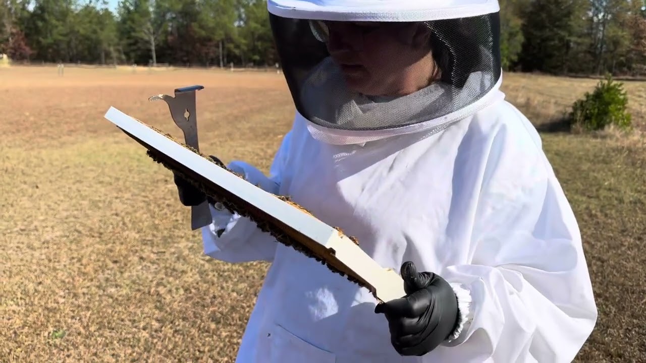 10th Hive Inspection: Feeling good about winter. 