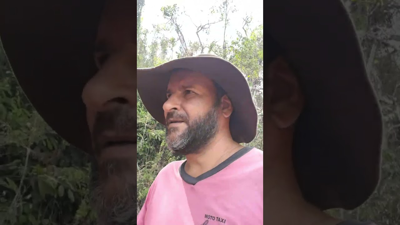 ‪@revistagloborural‬