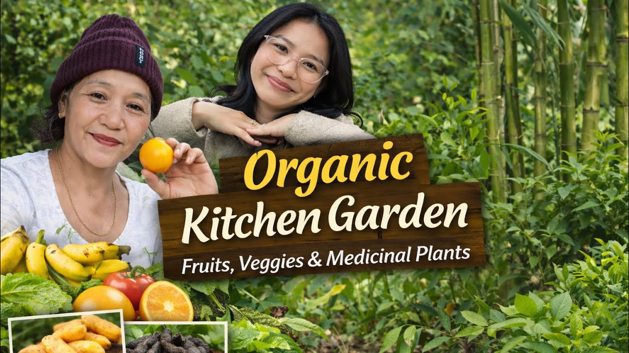 “Organic Kitchen Garden Vlog| Fruits, Veggies & Medicinal Plants| Naturally Grown at Home”