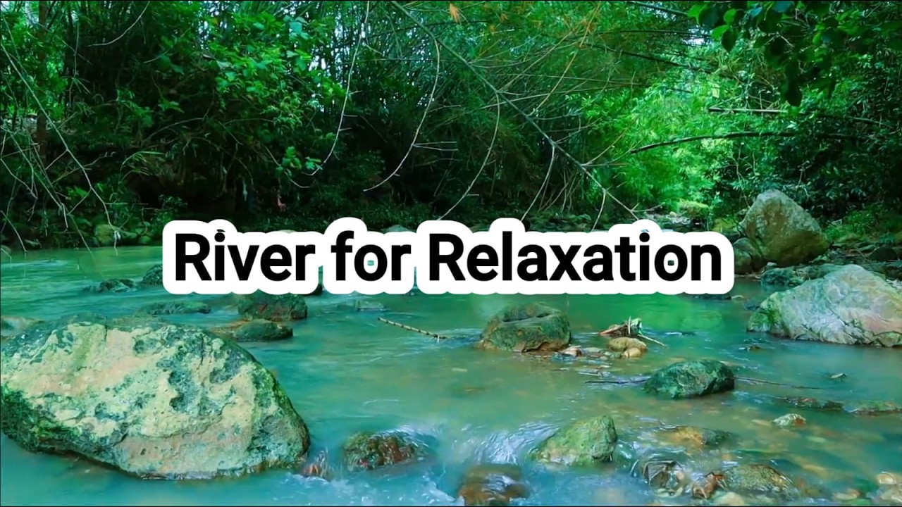 A Cabin in the Woods and the Sound of a Clear River for Relaxation