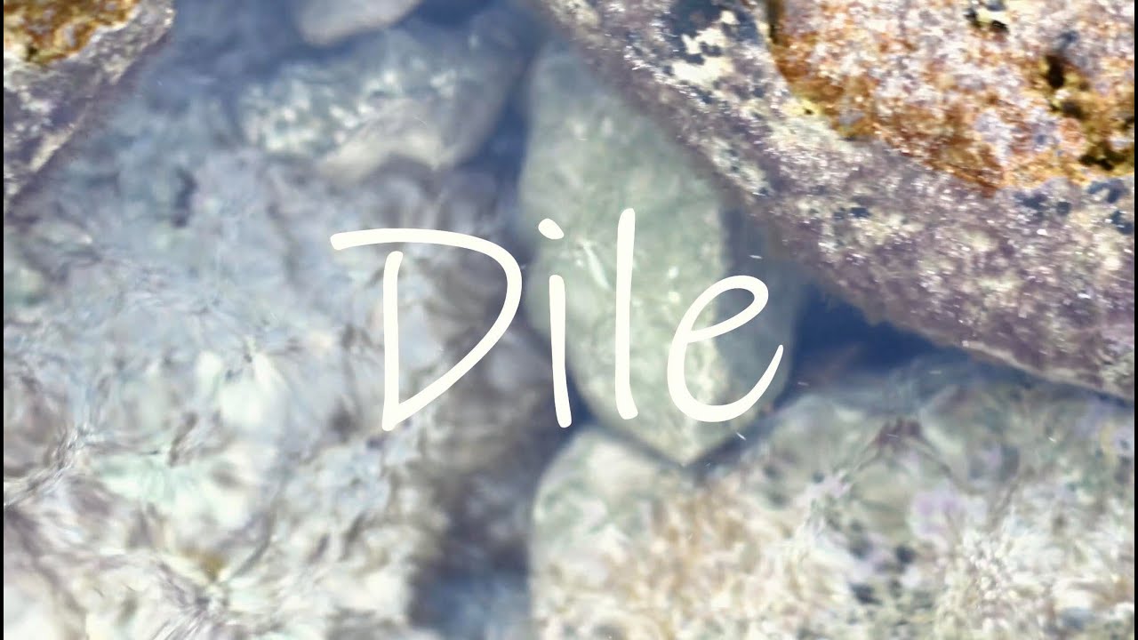 GELY - Dile 