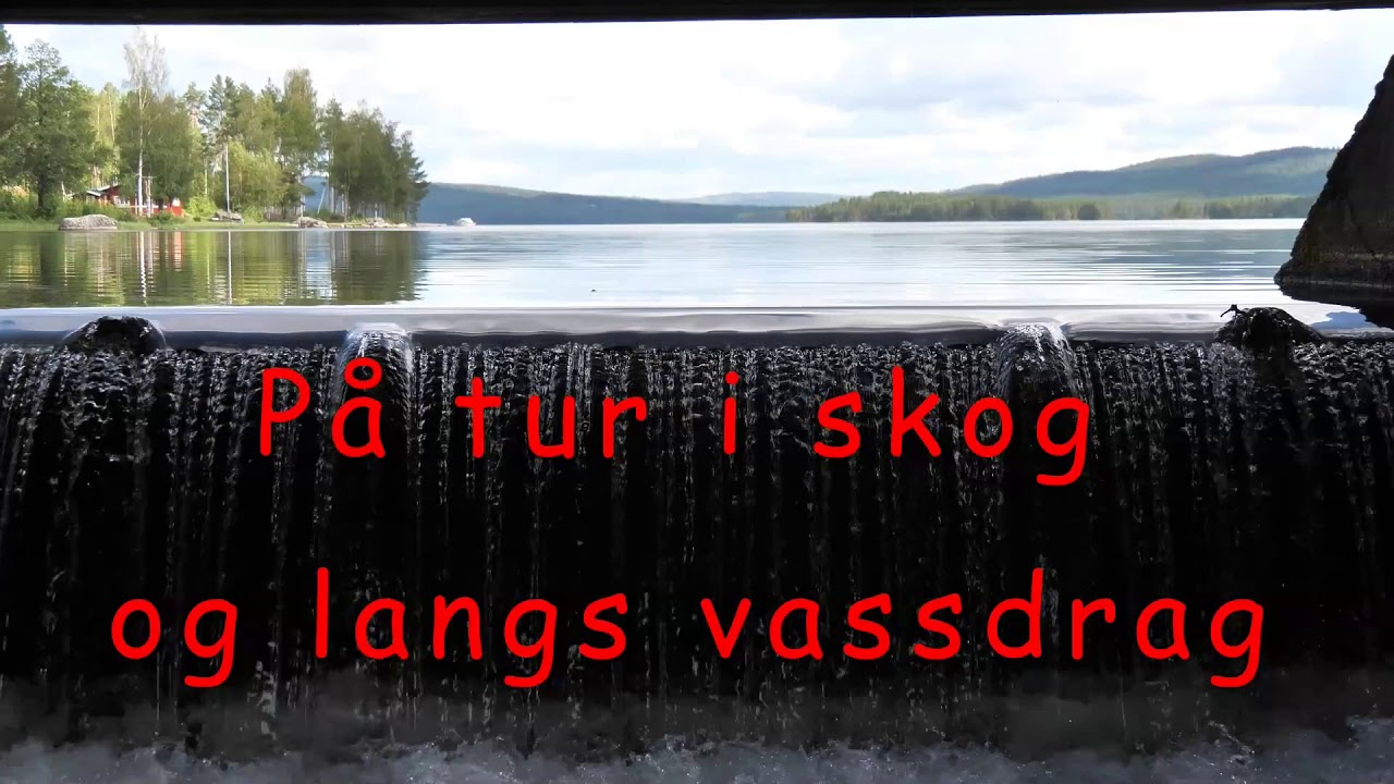 Med Nils og Ronja på Finnskogen  i juli 2019