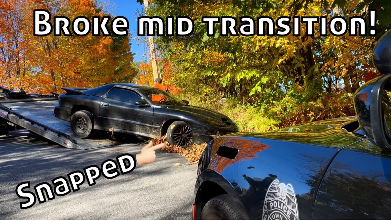 Trans am crash