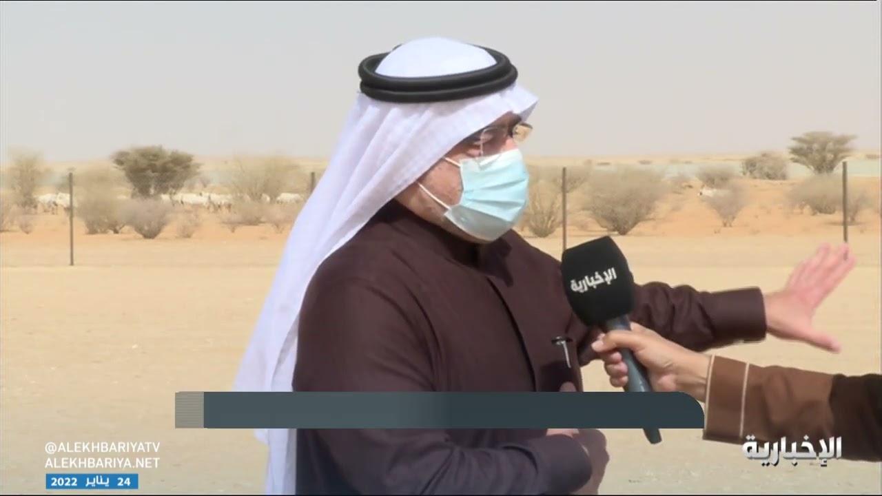 أمير نجران يطلق عددا من غزلان المها في محمية عروق بني معارض