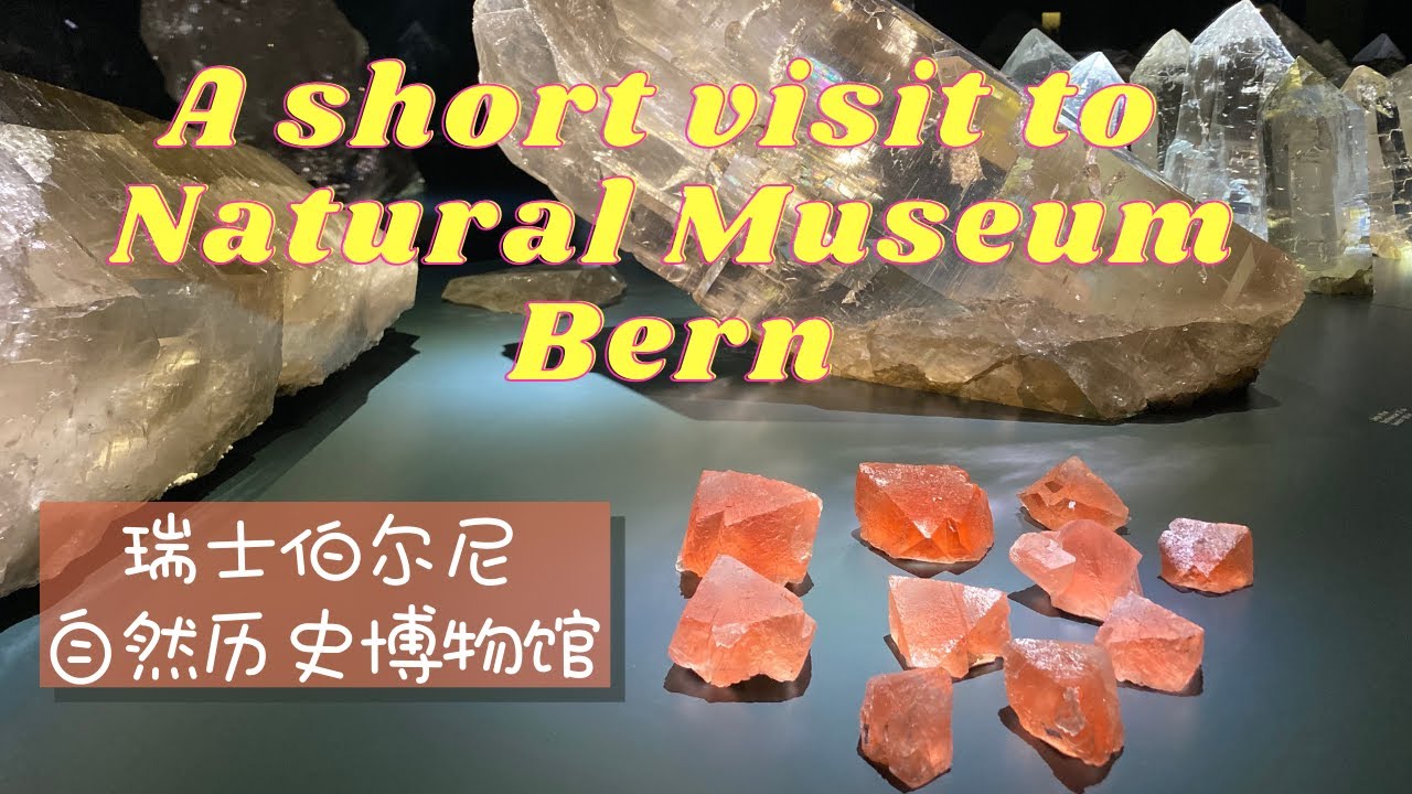 Natural Museum of Bern Switzerland 瑞士伯尔尼自然历史博物馆