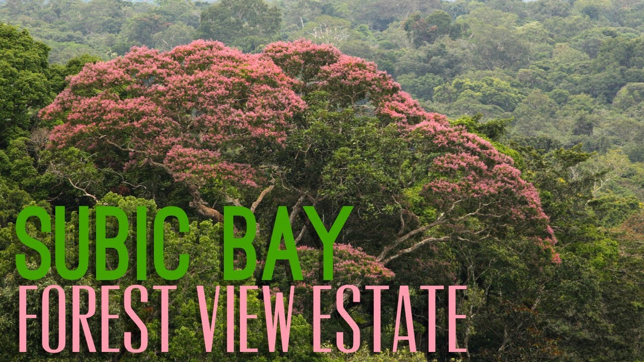 Subic Bay Forest View Estate