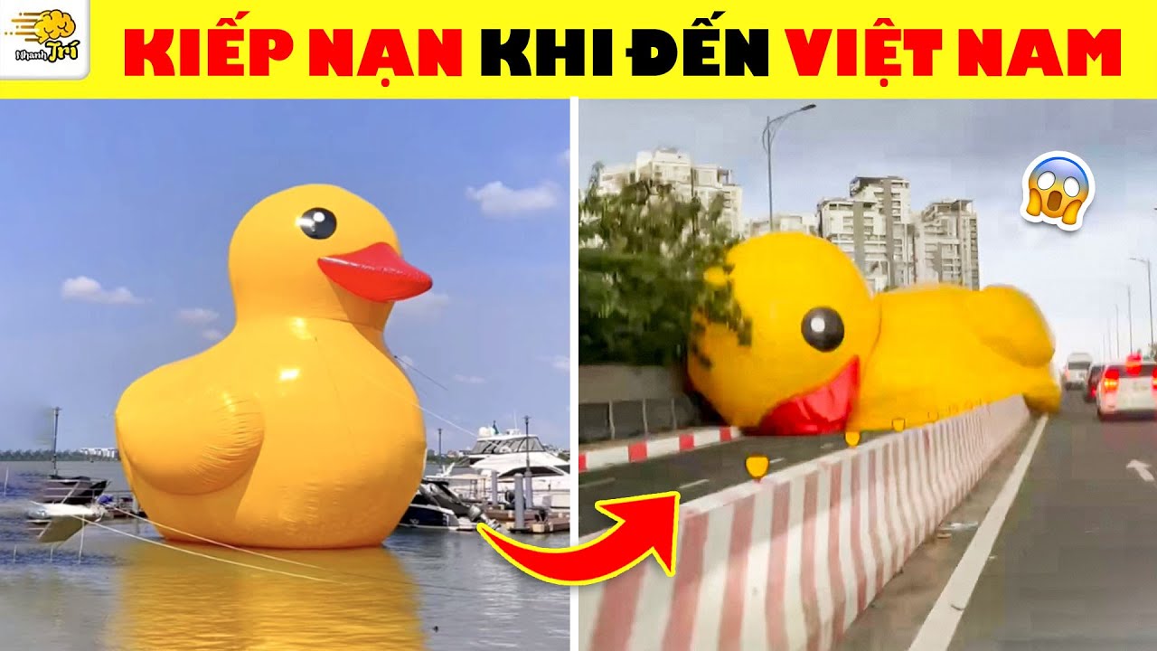 Bí Ẩn Về Chiếc Phao Khổ Nhất Thế Giới Chỉ Ai Biết Bơi Mới Đoán Được | Nhanh Trí