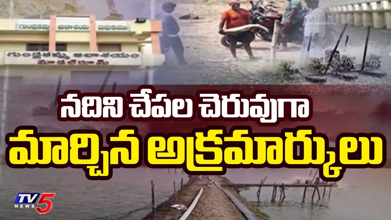 Illegal Aqua Culture Causes Water Pollution In Gundlakamma Project | Prakasam District || TV5 News
