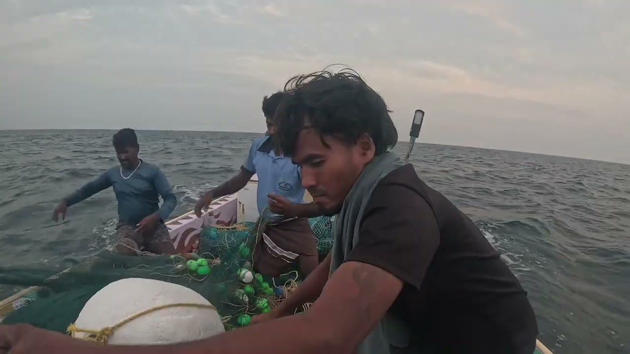 என்னது 😱‼️ முறல் மீன் பிடிக்க போறோமா