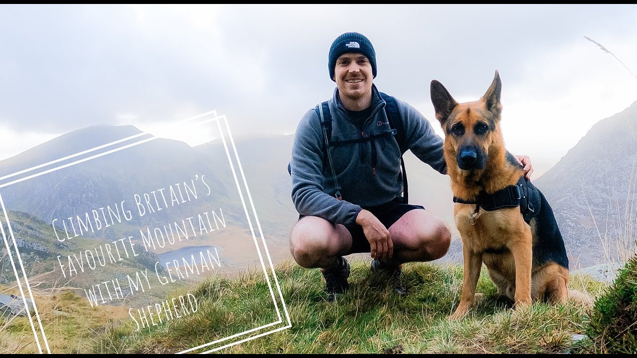 Solo Hiking Britain’s Favourite Mountain (Tryfan, Snowdonia) with my German Shepherd