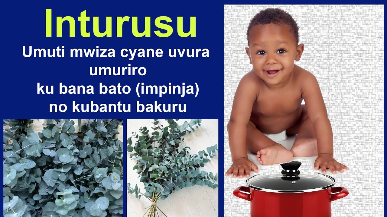 Umuti uvura umuriro n'umutwe ku bana b'Impinja no kubantu bakuru.