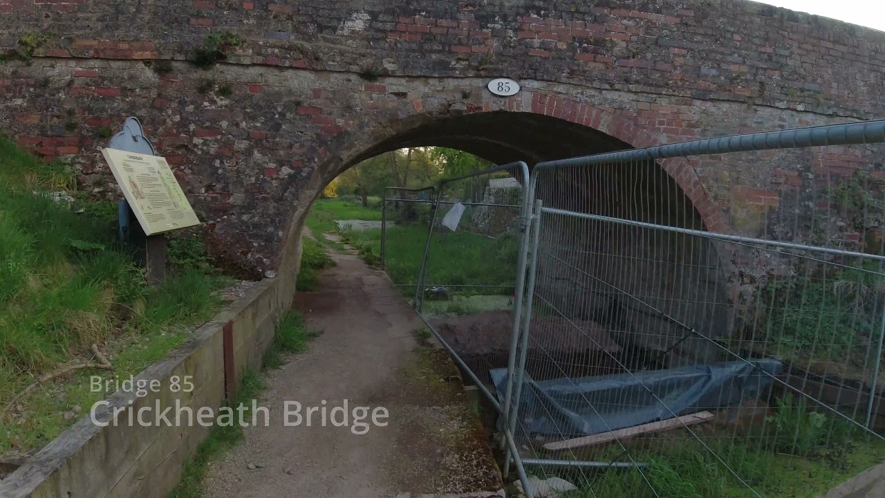 Montgomery Canal - Bridge 83 to 86 - 24th April 2021