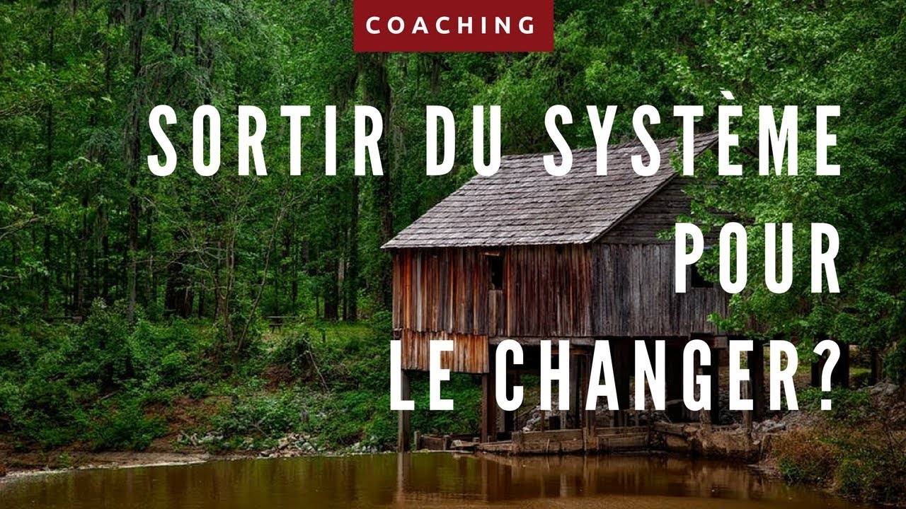 Into the wild - Sortir du système pour changer le monde?