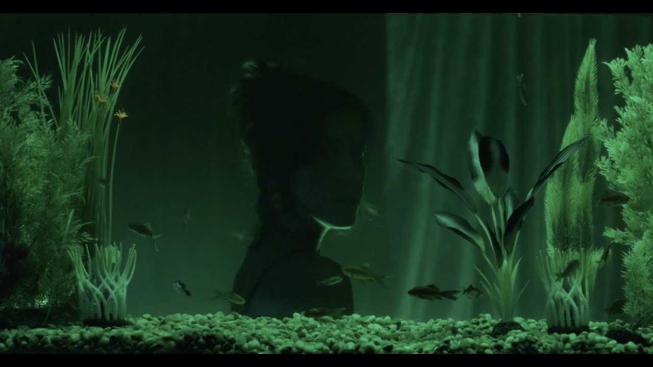 Natalie Duffy - Emerald Green August (Official Music Video)
