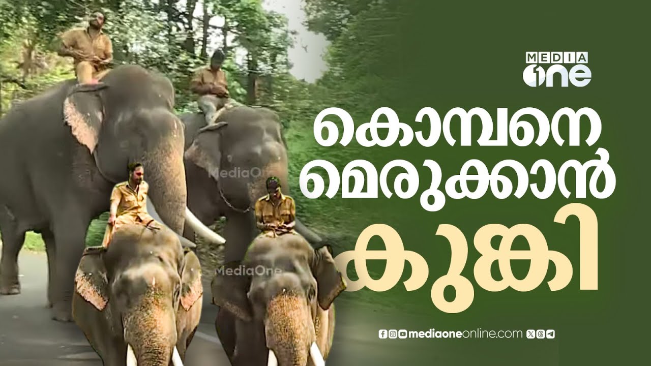 കൊമ്പനെ മെരുക്കാൻ കുങ്കിയാനകളിറങ്ങി... കുതിരാനിൽ നിന്നുള്ള ദൃശ്യങ്ങൾ