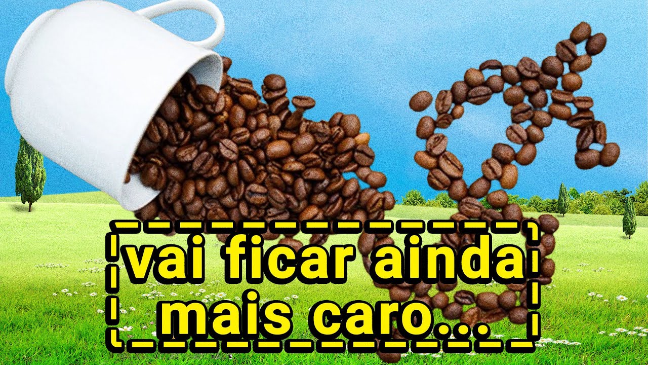 POR QUE O CAFÉ ESTÁ TÃO CARO? | TV CRINGE #093